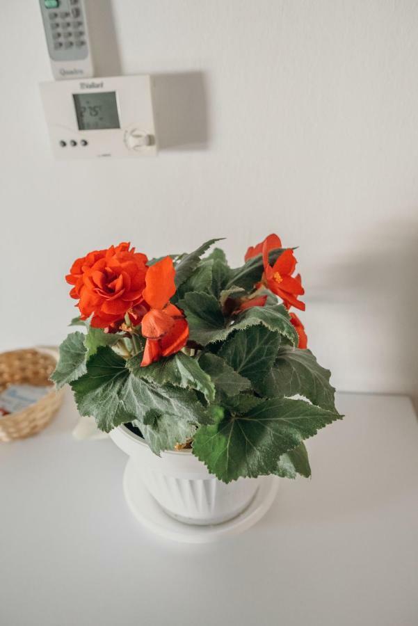 Apartman "Joka" Ðakovo Extérieur photo