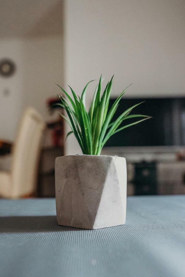 Apartman "Joka" Ðakovo Extérieur photo